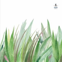 cornice in legno da parete,  fissaggio magnetico o tramite viti Frame Wood Slim quadrata - cornice+stampa