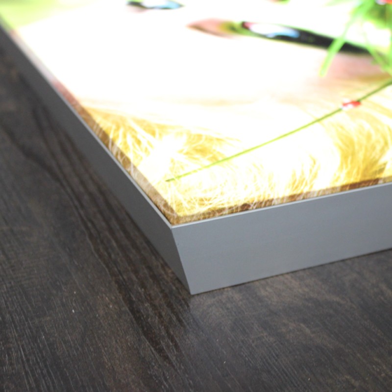 cornice luminosa monof. per banner in tessuto starLED 2000x1150 mm HxB