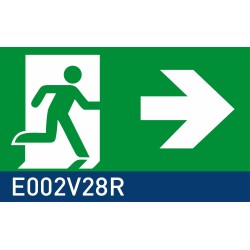 segnaletica con fondo luminescente signshine suspension rettangolo 210x420 mm HxB E002V28R