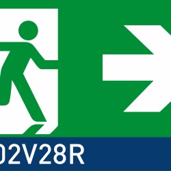 segnaletica di sicurezza luminescente signshine ceiling rettangolo 210x420 mm HxB E002V28R