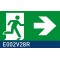 segnaletica di sicurezza luminescente signshine wall rettangolare 148x297 mm HxB E002V28R