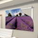 sistema invisibile per fissaggio grandi pannelli backframe 1400x1000 mm HxB