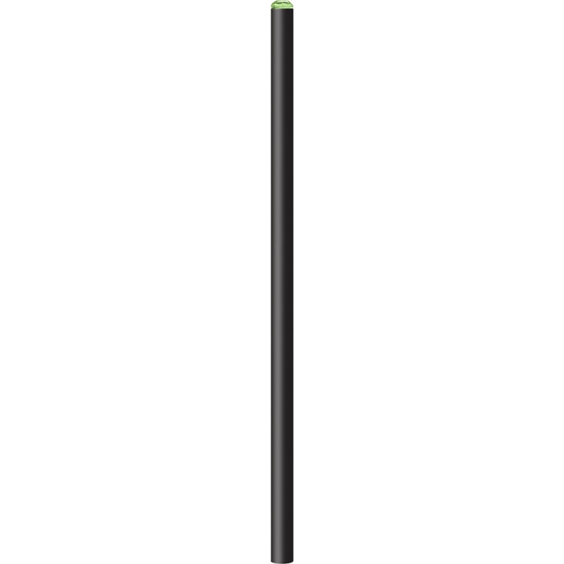 Matita nera in legno verde personalizzato B11154V