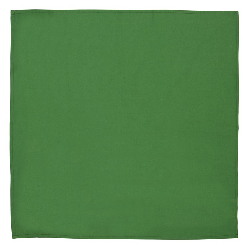 Bandana classica verde personalizzato K18108V