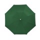 Ombrello mini automatico verde personalizzato K18245V